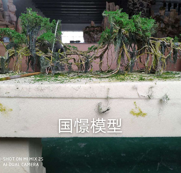 南安市场景模型
