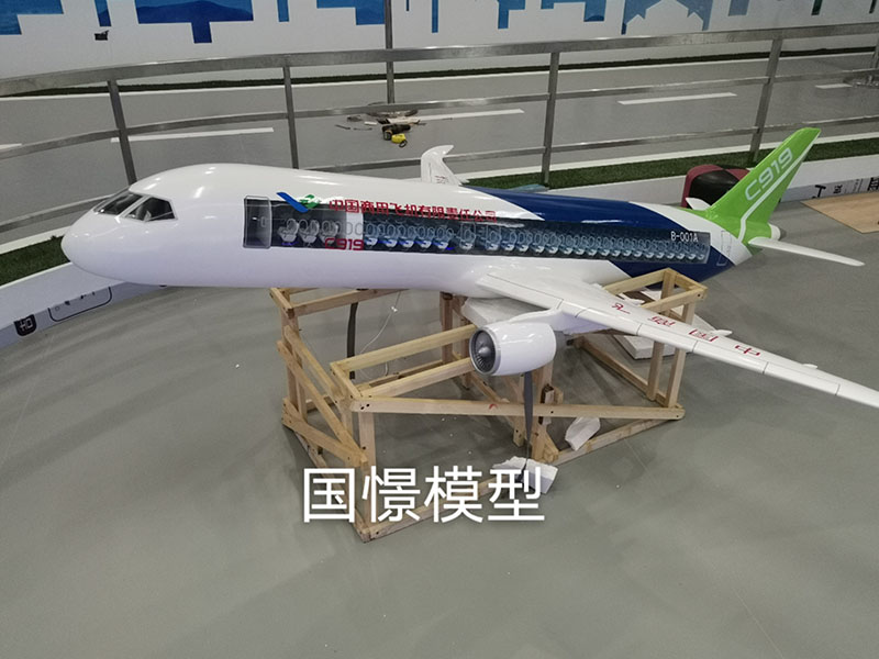 南安市飞机模型