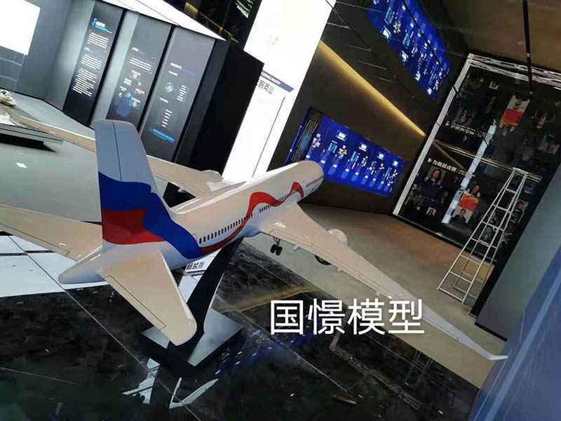 南安市飞机模型