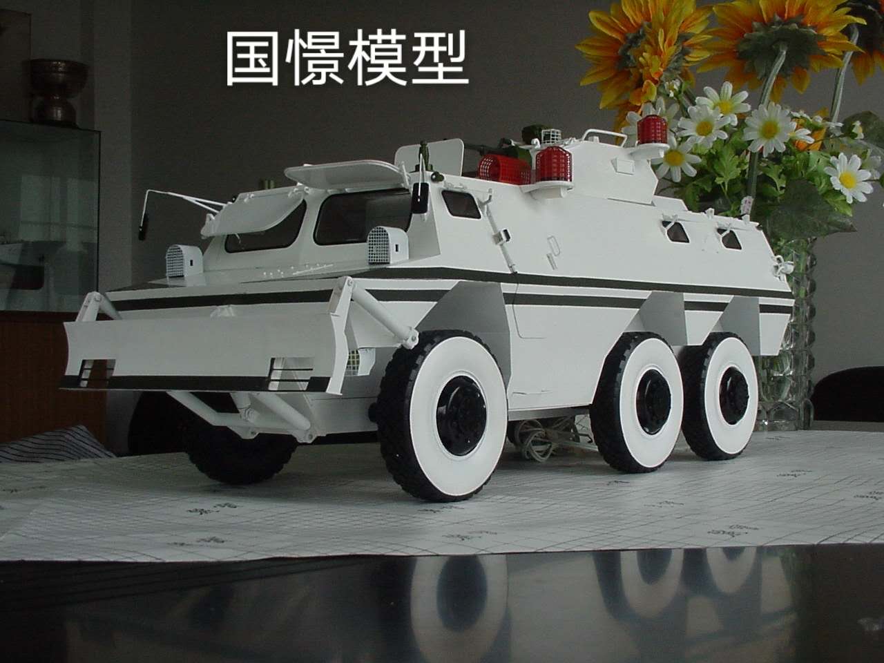 南安市军事模型