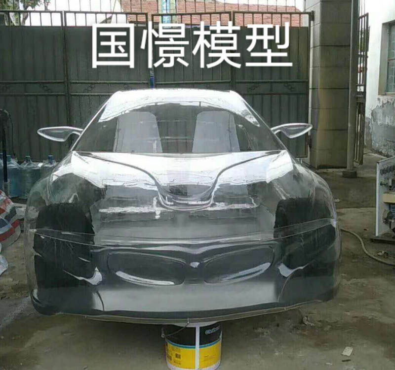 南安市透明车模型