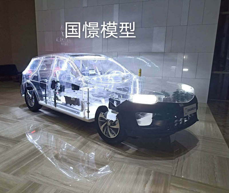 南安市透明车模型